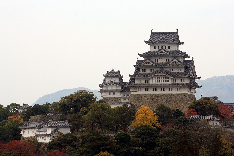 20081117-9.jpg