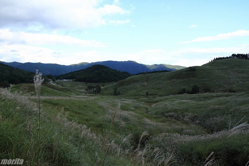 IMG_3248.jpg