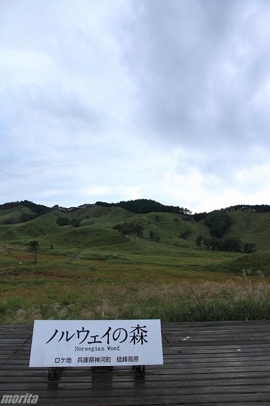 IMG_3273.jpg