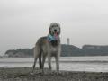 少し霞んだ江の島