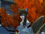 pso20140923_010711_002.jpg