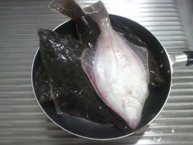 カレイ