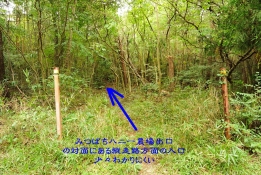 縦走路へ向かう