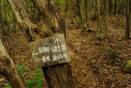 DSC_3380.jpg