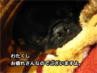 おつかれ1
