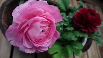 DSC00028.jpg