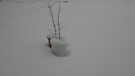 DSC00158.jpg