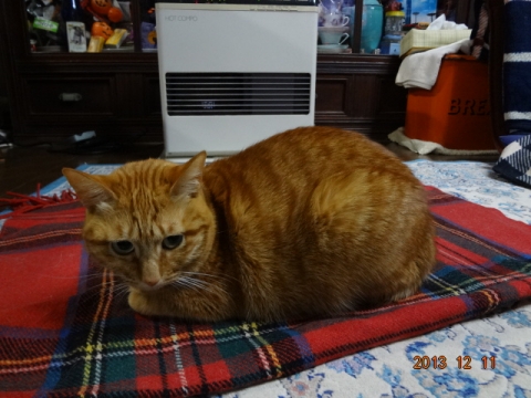 DSC00362.jpg
