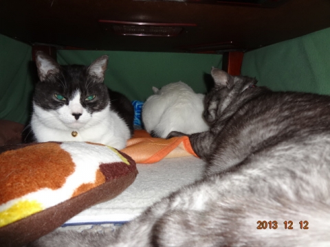 DSC00373.jpg