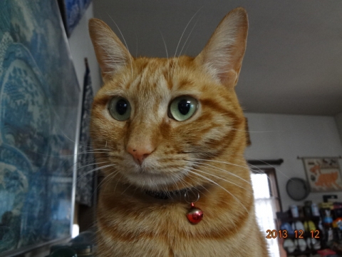 DSC00376.jpg