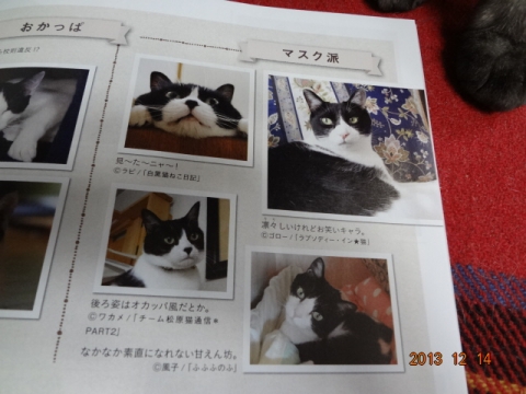 DSC00460.jpg