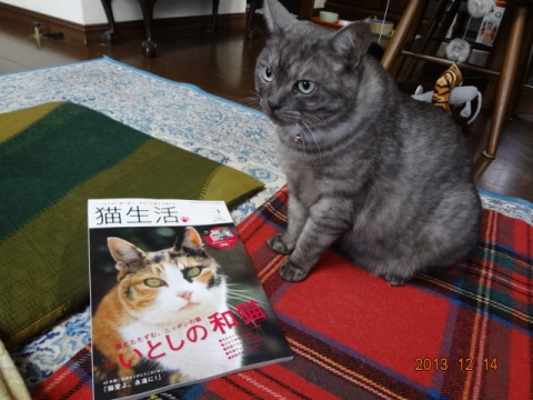 DSC00469.jpg