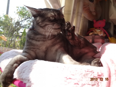 DSC00505.jpg