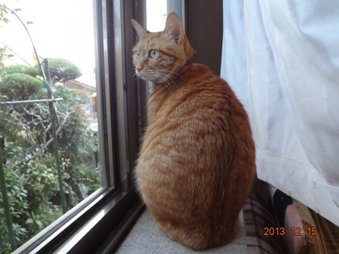 DSC00524.jpg