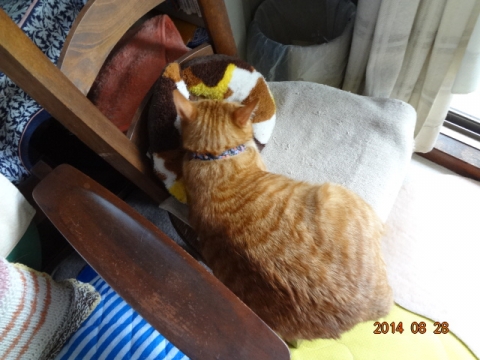 DSC03874.jpg