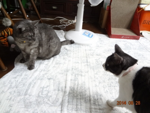 DSC03879.jpg