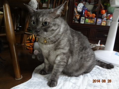 DSC03882.jpg