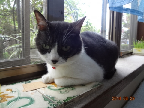 DSC03893.jpg