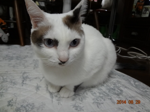 DSC03896.jpg