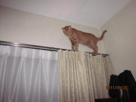 IMG_8186_20110924152221.jpg