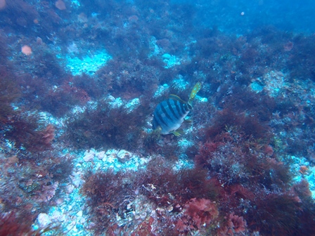PA110132.jpg