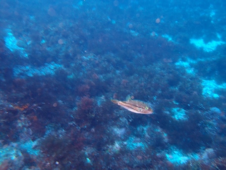 PA110133.jpg