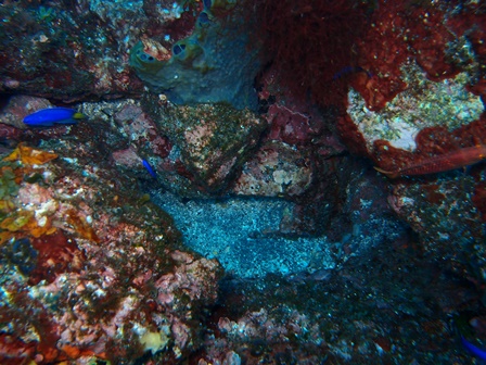 PA110157.jpg