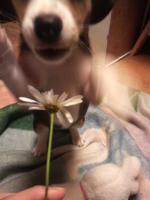130207