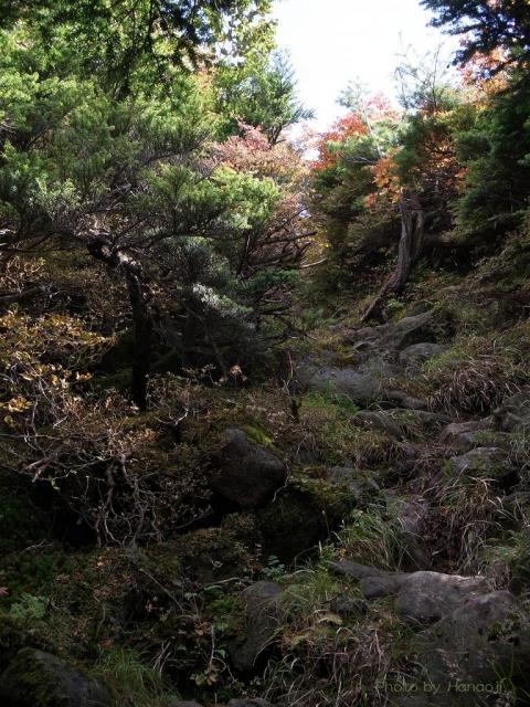 お坪の庭