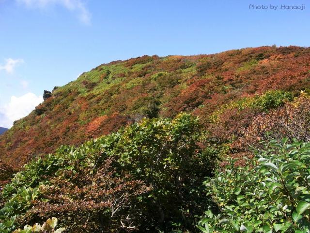 山頂直下の紅葉