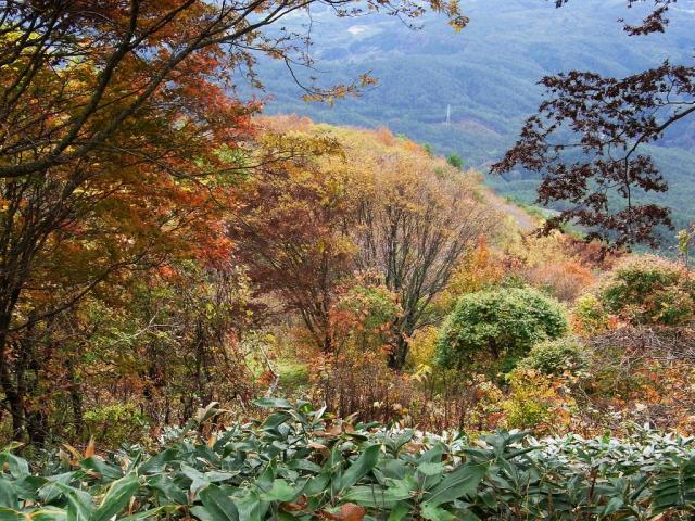 大萱コースの紅葉