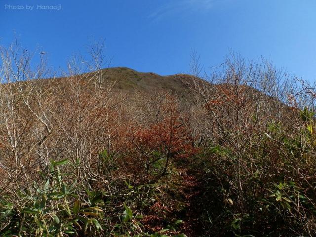 山頂直下の急な登り