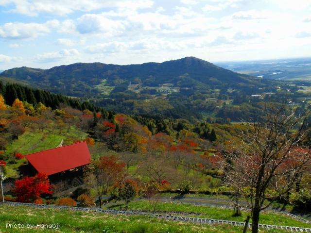 木工芸館遊鵬と観音山