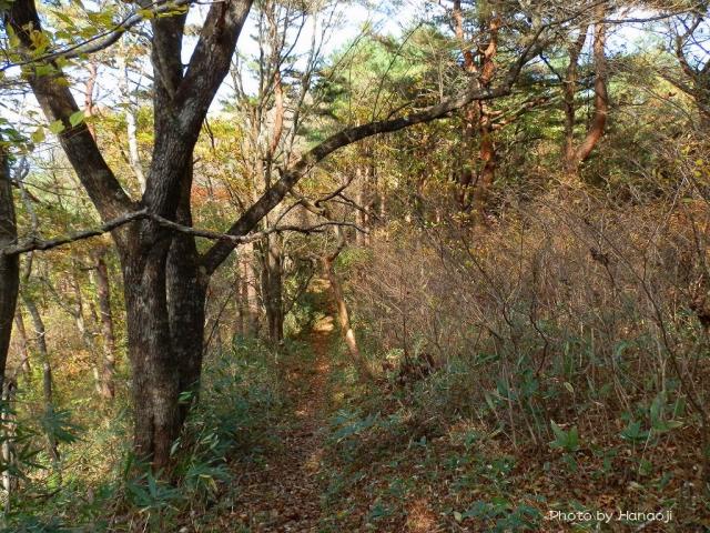 経塚山へ続く尾根道