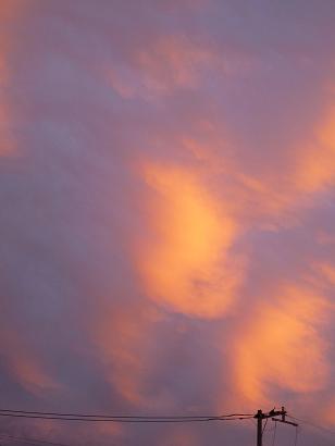 夕焼け1