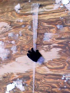 2012-01-28_01.jpg