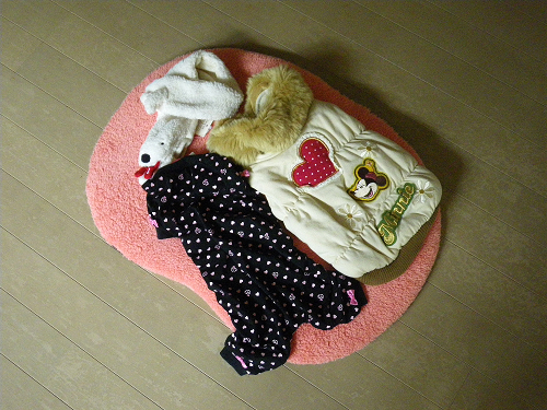 IMGP7106s.jpg