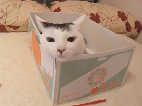 2014-0924-1.jpg