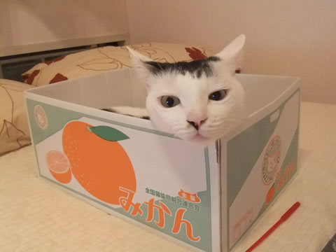 2014-0924-3.jpg