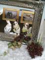 1008_hase1.jpg