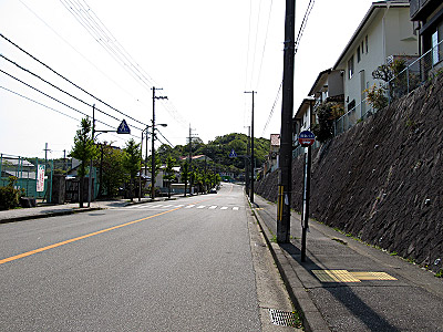 4604_01.jpg