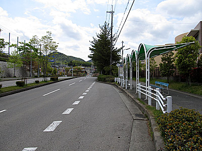4611_01.jpg