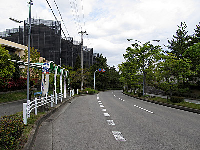 4611_04.jpg