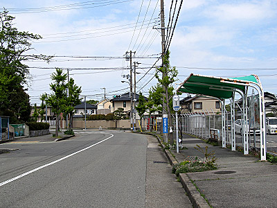 4613_01.jpg