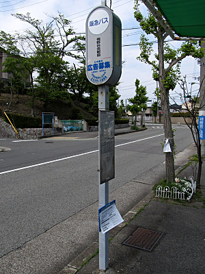 4613_02.jpg