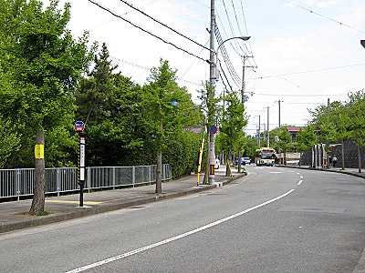 4618_01.jpg