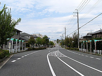 4630_06.jpg