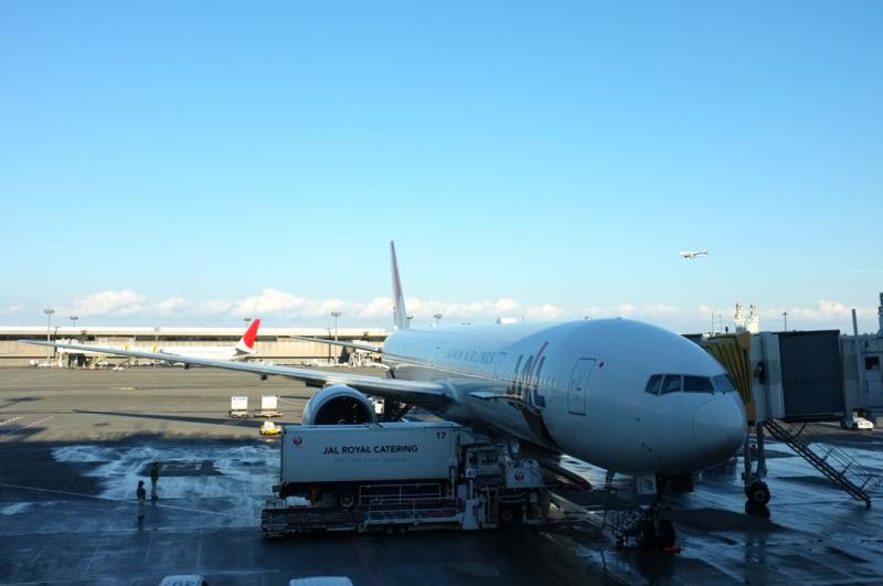 DSCF0536JAL.jpg
