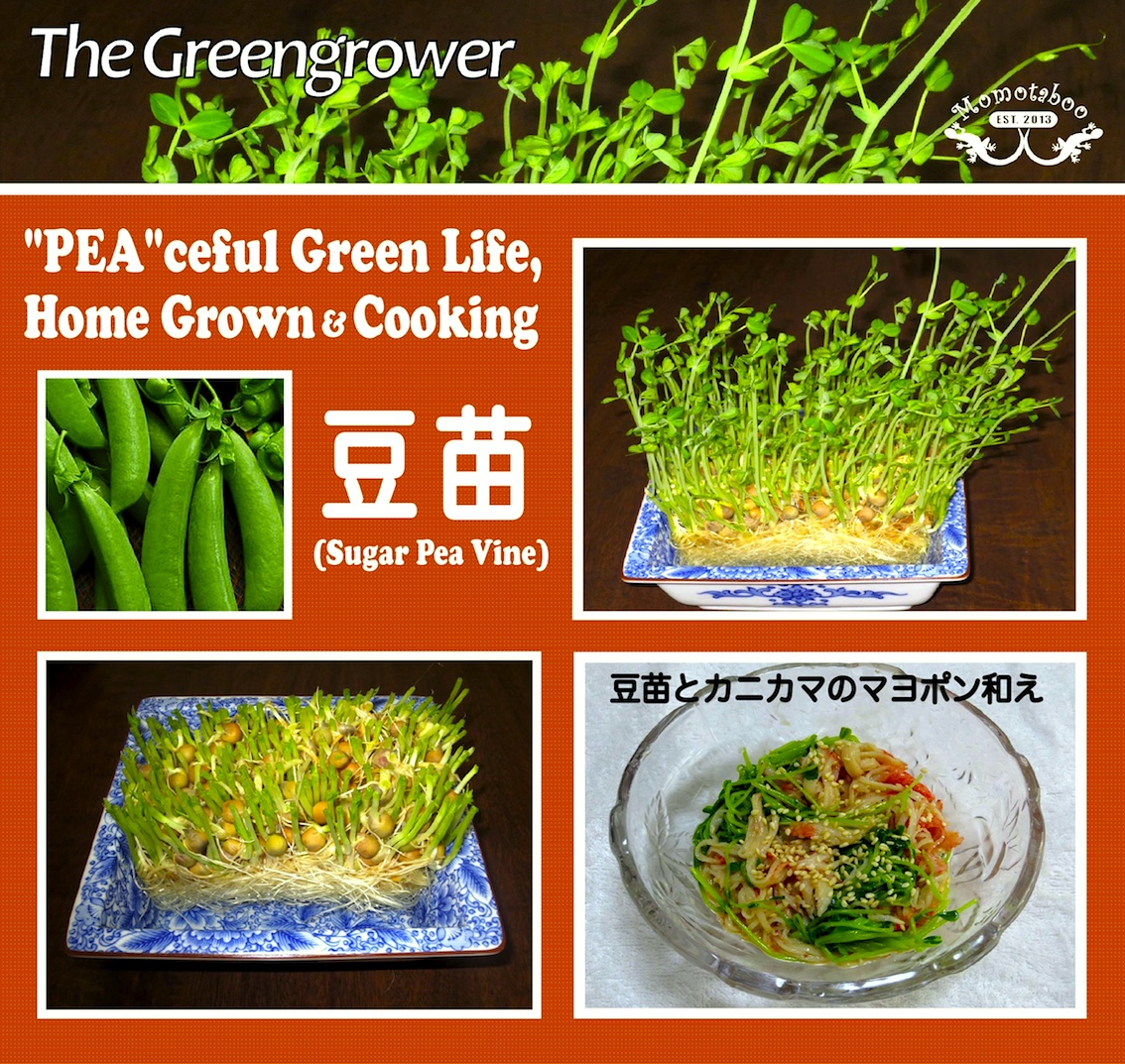 Greengrower11.jpg