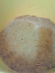 201301241008000.jpg